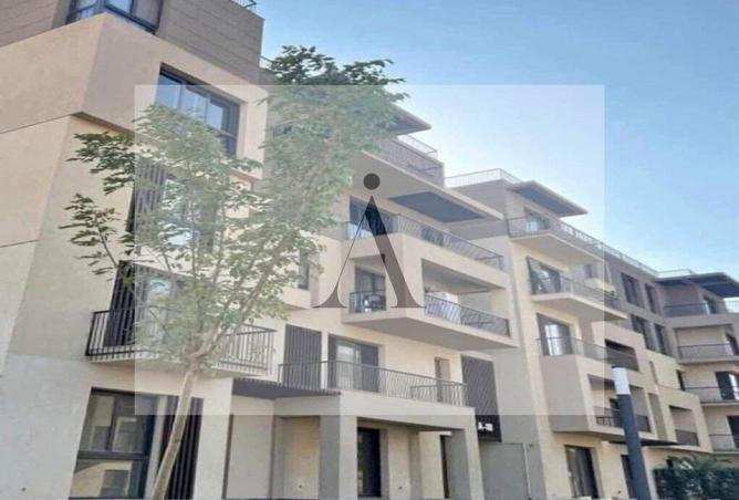 53977001 - Property Image 2