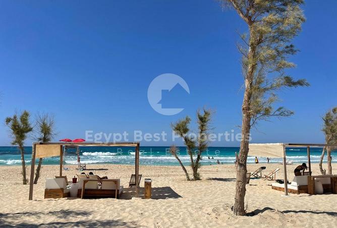 98832391 - Property Image 2