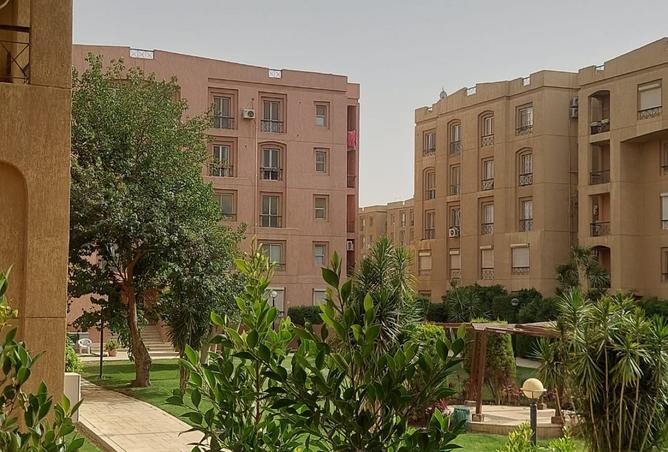 91856733 - صورة العقار 3