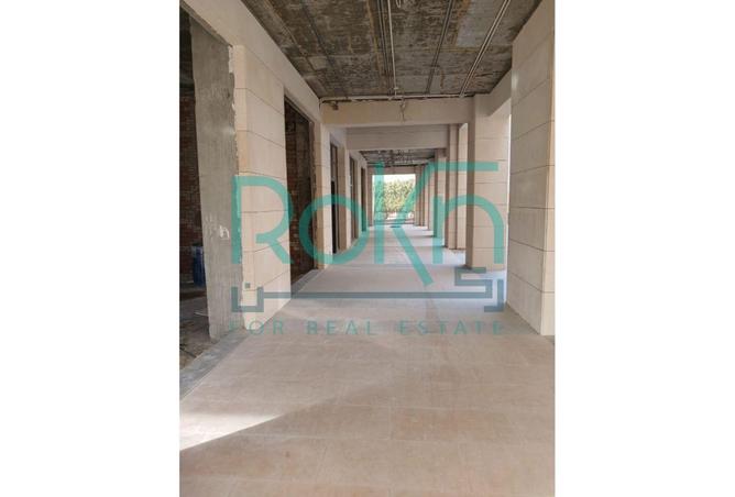 8693338 - Property Image 3