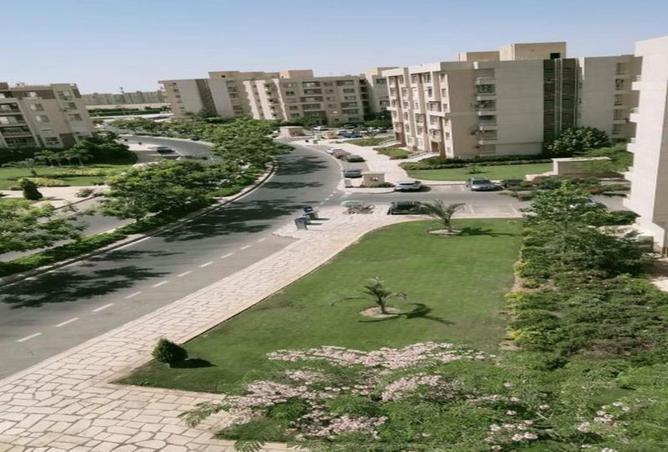 64131588 - صورة العقار 2