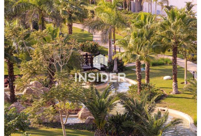 63398311 - صورة العقار 2