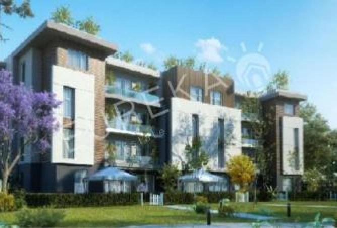 52450019 - الصورة الرئيسية للعقار