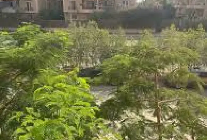 96850992 - صورة العقار 3