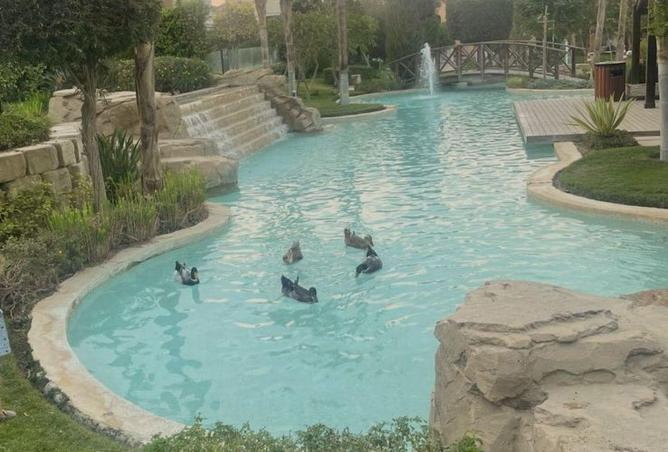 53730784 - Property Image 3