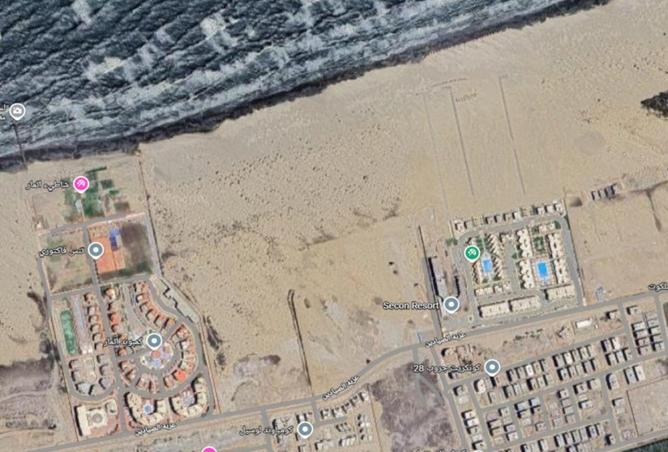 53478049 - Property Image 3