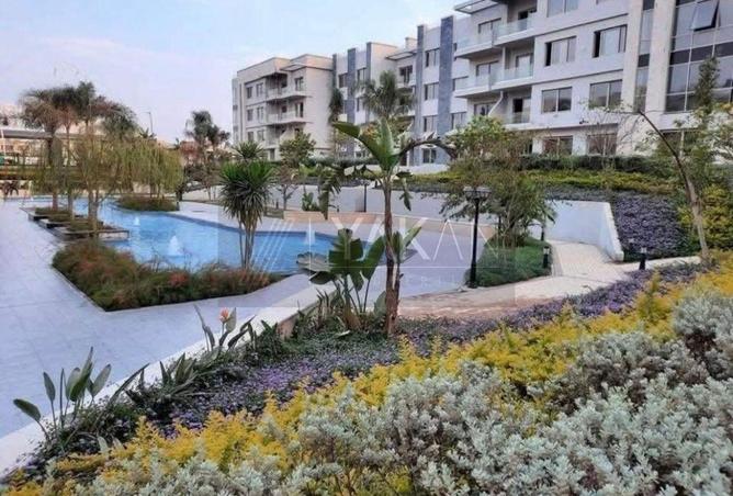 68527417 - Property Image 3