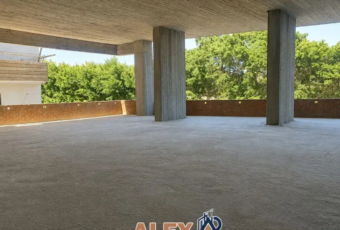 85874935 - Property Image 2