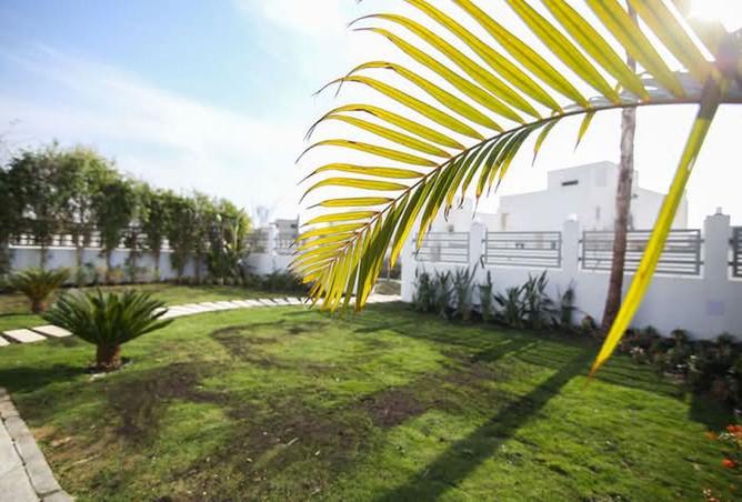 8432092 - صورة العقار 3