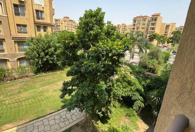 78408081 - صورة العقار 3