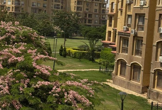 78408081 - صورة العقار 2