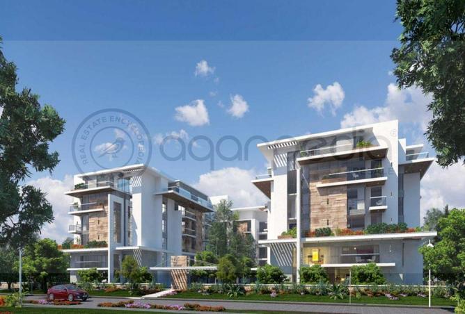 57492657 - Property Image 3