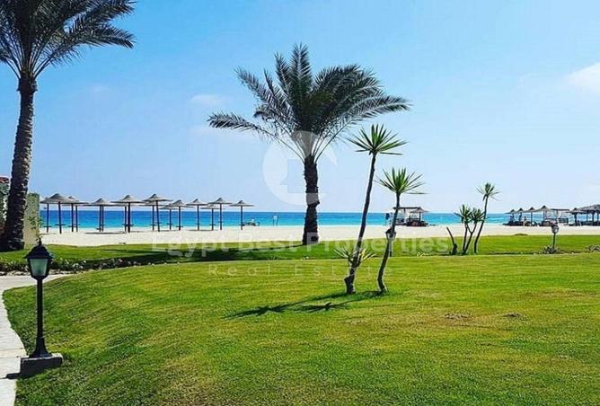 57997054 - صورة العقار 3