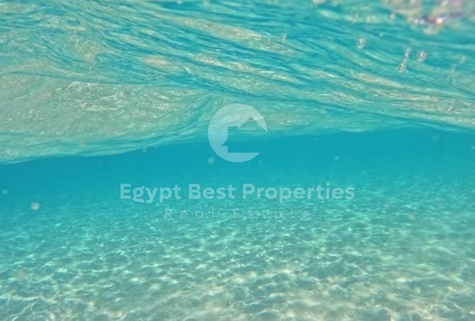 105457737 - Property Image 3