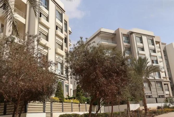 54746796 - صورة العقار 3