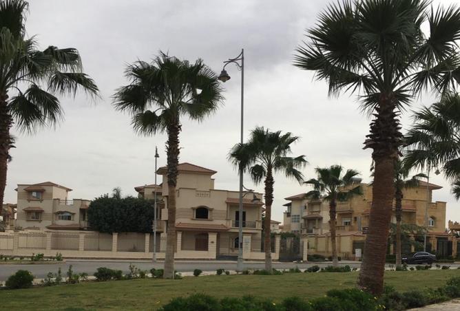 58244972 - صورة العقار 3