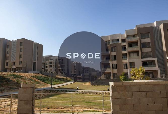 101778042 - Property Image 3
