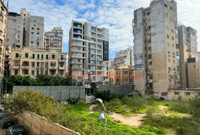 117020649 - Property Image 2