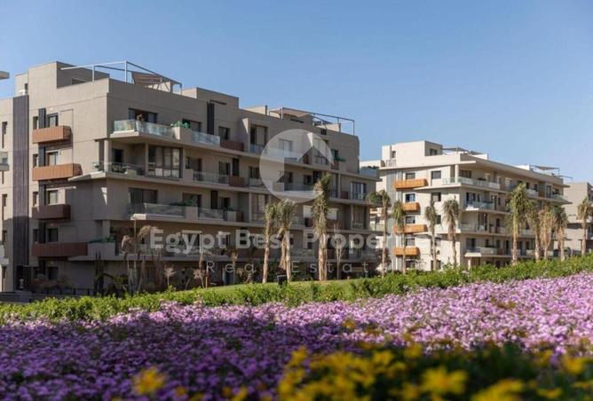 109069509 - Property Image 3