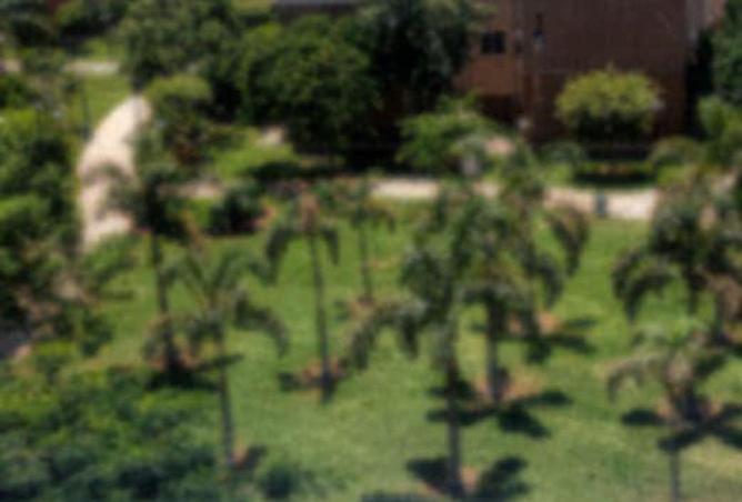 74578294 - صورة العقار 2