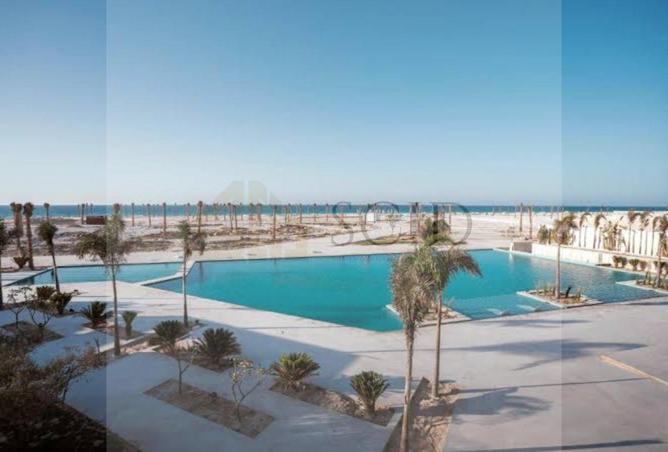 64895140 - صورة العقار 3