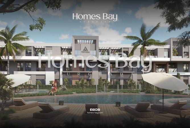 56494493 - Property Image 2