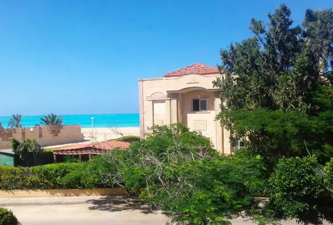 120097490 - صورة العقار 2