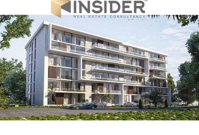 2Oe96Q4nK0u - Property Image 3