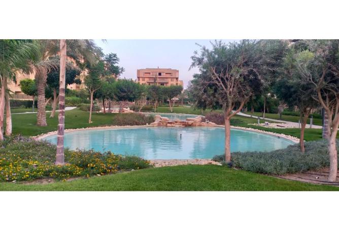 73241070 - صورة العقار 3