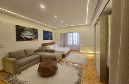Apartment - Studio - 1 Bathroom for rent in Street 258 - New Maadi - Hay El Maadi - Cairo