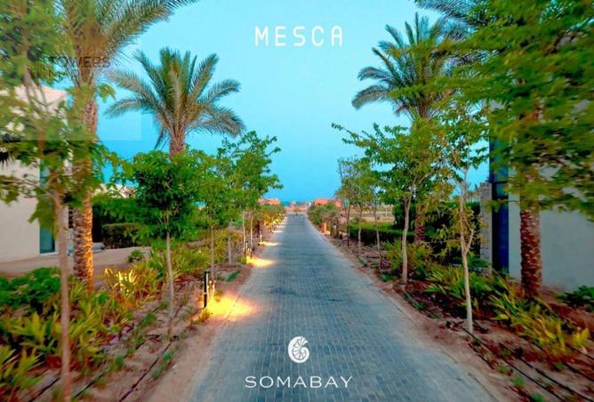 70373959 - Property Image 3