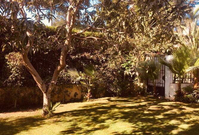 8444039 - صورة العقار 3