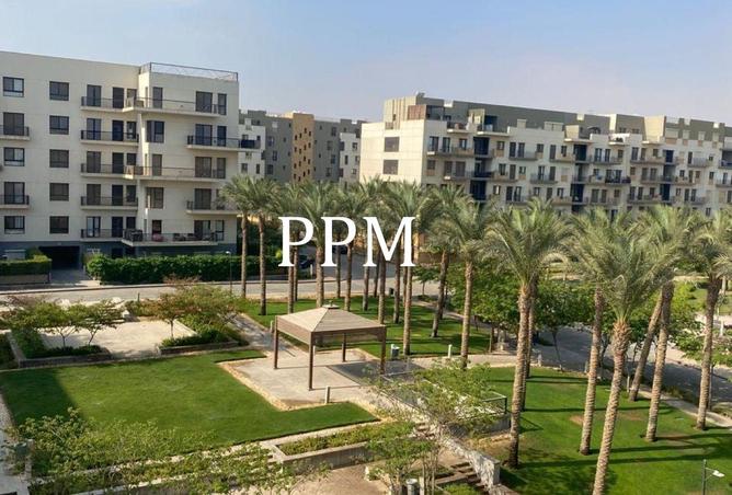 8572499 - الصورة الرئيسية للعقار