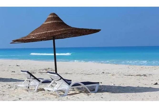 53218250 - Property Image 2