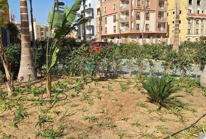 8679949 - صورة العقار 3