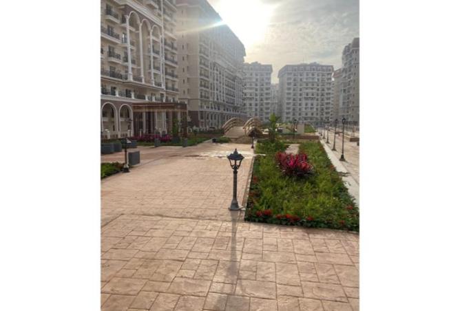 8441928 - صورة العقار 3