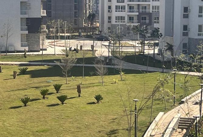 8504202 - الصورة الرئيسية للعقار