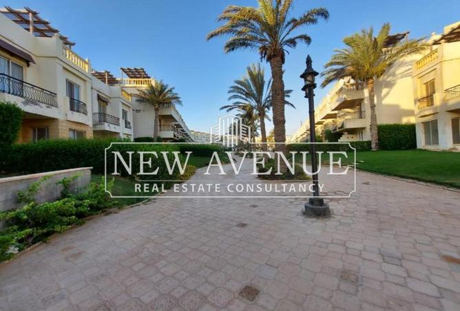 55004611 - صورة العقار 3