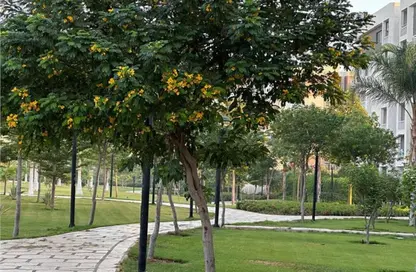 Apartment - 3 Bedrooms - 3 Bathrooms for rent in Privado - Madinaty - Cairo