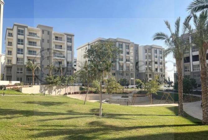 8717266 - Property Image 3