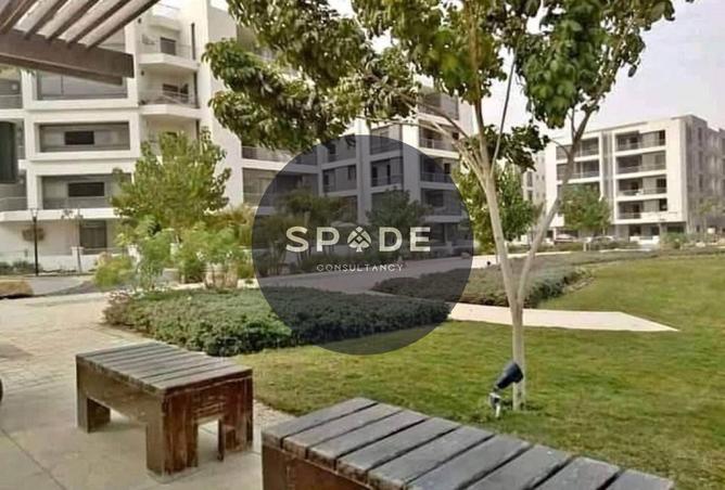 54238478 - Property Image 2