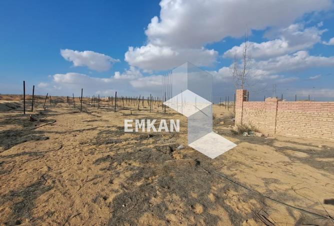 8575595 - Property Main Image