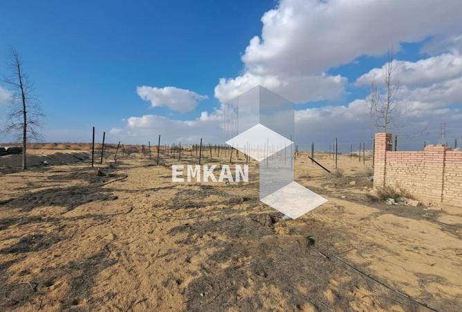 8575595 - Property Image 2