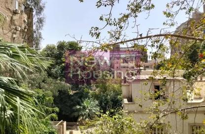 Apartment - 2 Bedrooms - 2 Bathrooms for sale in Zamalek - Cairo