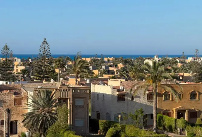 84506593 - صورة العقار 3
