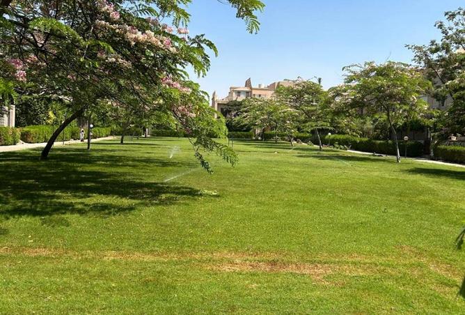 65916980 - صورة العقار 3