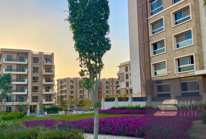 70091292 - صورة العقار 3