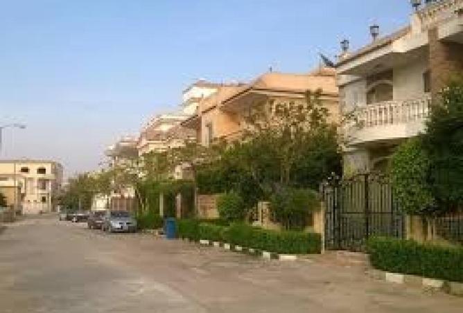 58991682 - صورة العقار 3