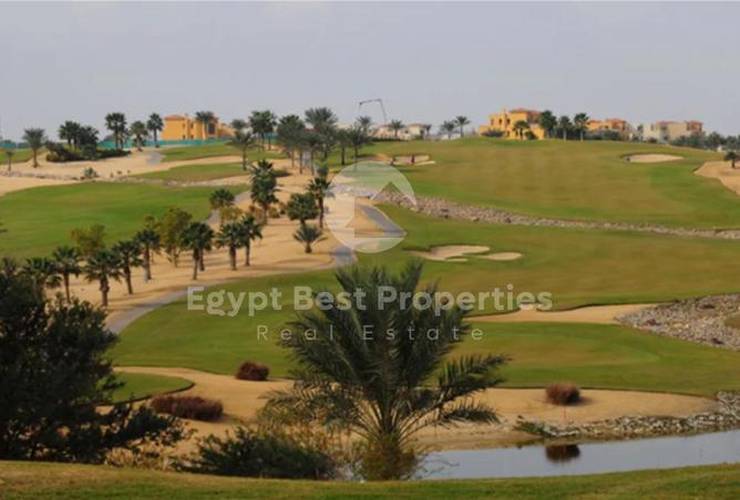 8488080 - صورة العقار 3