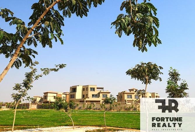 58245072 - Property Image 3